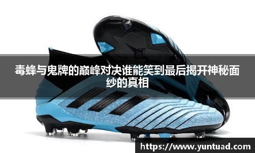 毒蜂与鬼牌的巅峰对决谁能笑到最后揭开神秘面纱的真相