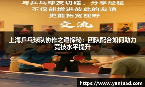 上海乒乓球队协作之道探秘：团队配合如何助力竞技水平提升