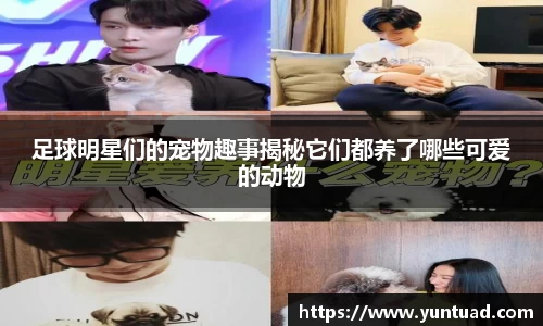 足球明星们的宠物趣事揭秘它们都养了哪些可爱的动物